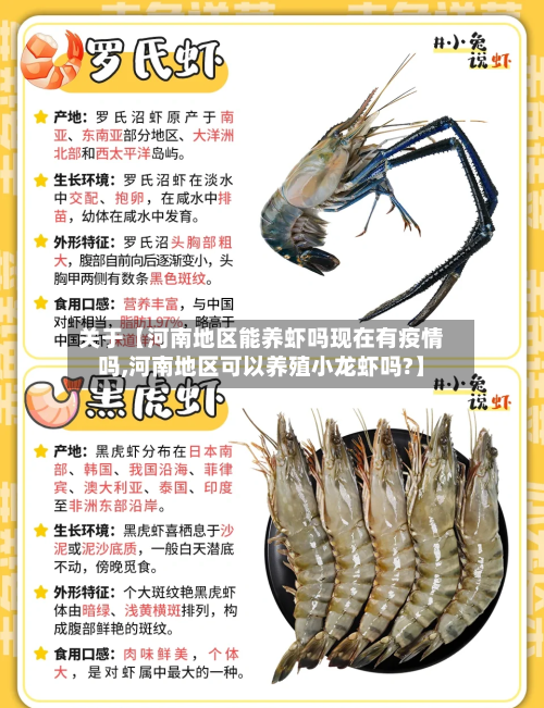 关于【河南地区能养虾吗现在有疫情吗,河南地区可以养殖小龙虾吗?】-第3张图片