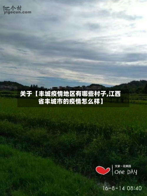 关于【丰城疫情地区有哪些村子,江西省丰城市的疫情怎么样】
