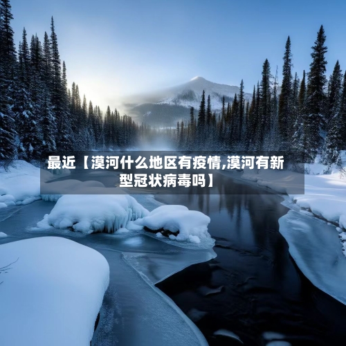 最近【漠河什么地区有疫情,漠河有新型冠状病毒吗】-第3张图片