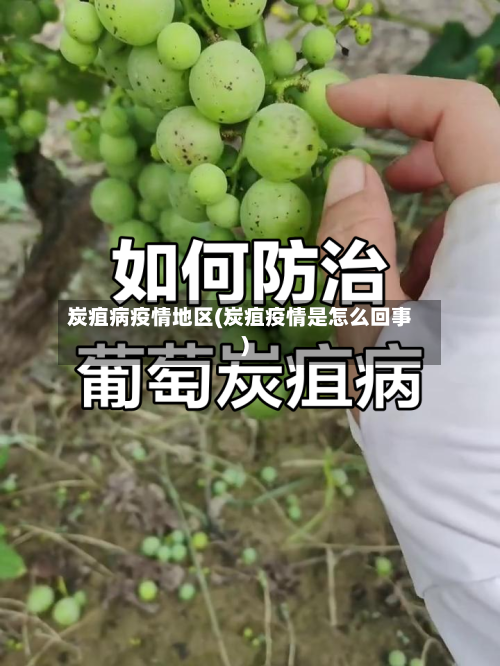 炭疽病疫情地区(炭疽疫情是怎么回事)