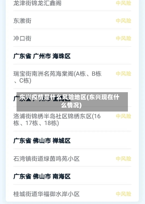 东兴疫情是什么风险地区(东兴现在什么情况)