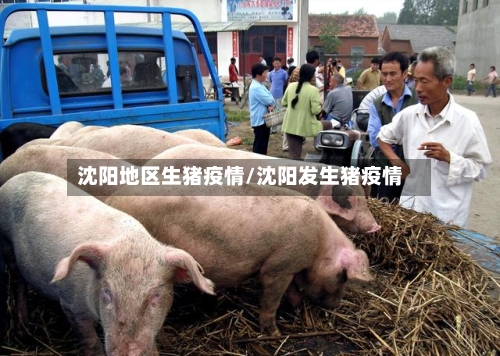 沈阳地区生猪疫情/沈阳发生猪疫情