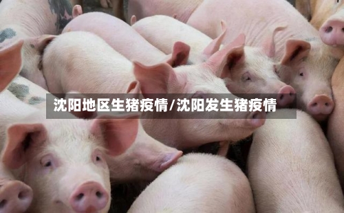 沈阳地区生猪疫情/沈阳发生猪疫情-第2张图片