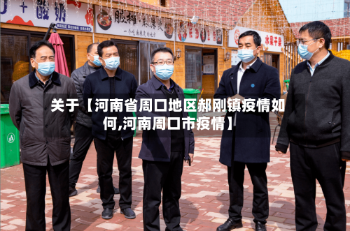 关于【河南省周口地区郝刚镇疫情如何,河南周口市疫情】