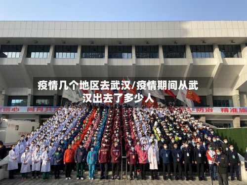 疫情几个地区去武汉/疫情期间从武汉出去了多少人-第2张图片
