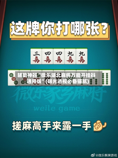 辅助神器“微乐湖北麻将万能开挂器通用版”(曝光透视必备猫腻)