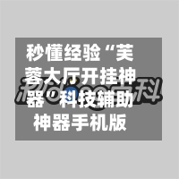 秒懂经验“芙蓉大厅开挂神器”科技辅助神器手机版-第2张图片