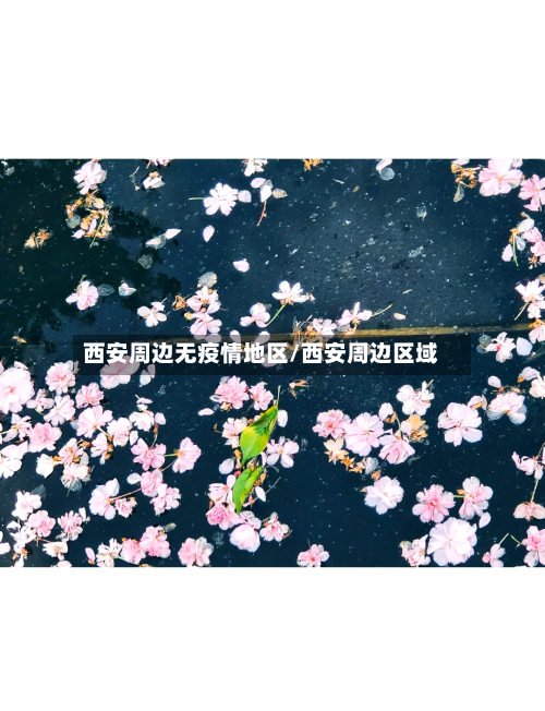 西安周边无疫情地区/西安周边区域
