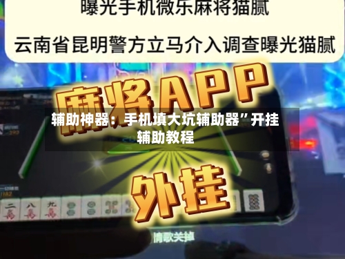 辅助神器：手机填大坑辅助器”开挂辅助教程-第2张图片