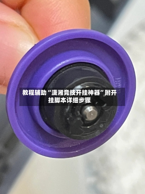 教程辅助“潇湘竞技开挂神器”附开挂脚本详细步骤