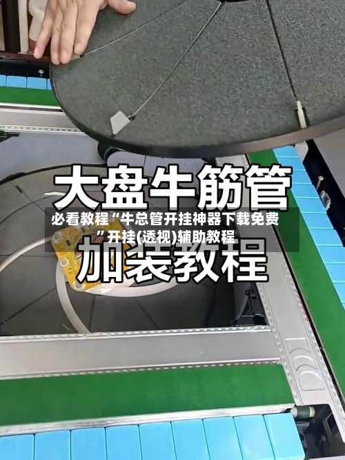 必看教程“牛总管开挂神器下载免费”开挂(透视)辅助教程-第2张图片