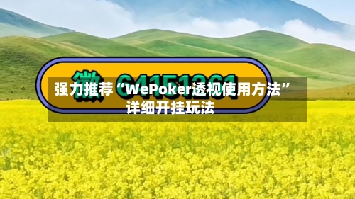 强力推荐“WePoker透视使用方法”详细开挂玩法