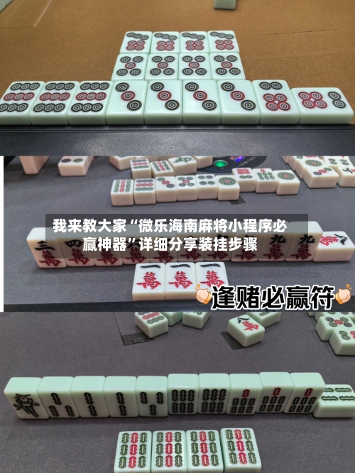 我来教大家“微乐海南麻将小程序必赢神器”详细分享装挂步骤