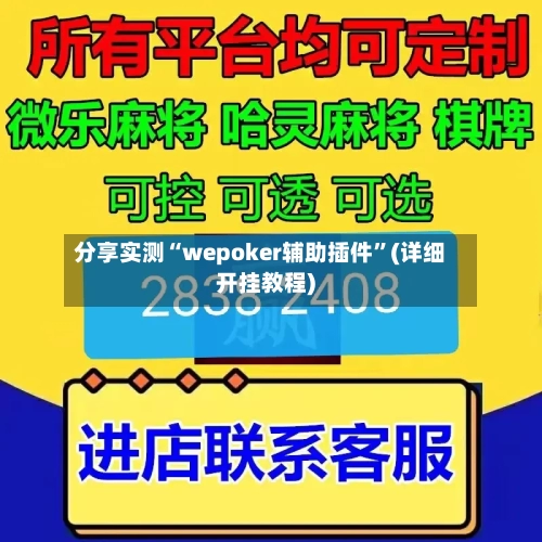 分享实测“wepoker辅助插件”(详细开挂教程)-第2张图片