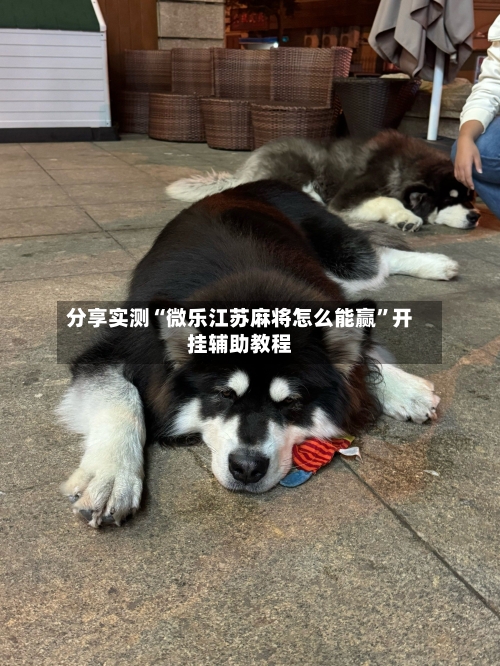 分享实测“微乐江苏麻将怎么能赢”开挂辅助教程-第2张图片