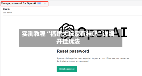 实测教程“福建大玩家有挂吗”详细开挂玩法-第2张图片