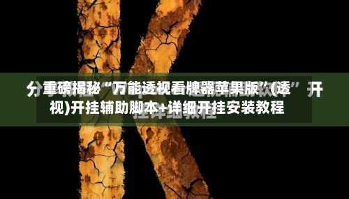 重磅揭秘“万能透视看牌器苹果版”(透视)开挂辅助脚本+详细开挂安装教程-第3张图片