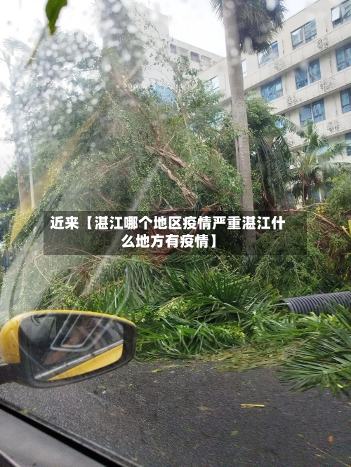 近来【湛江哪个地区疫情严重湛江什么地方有疫情】-第3张图片