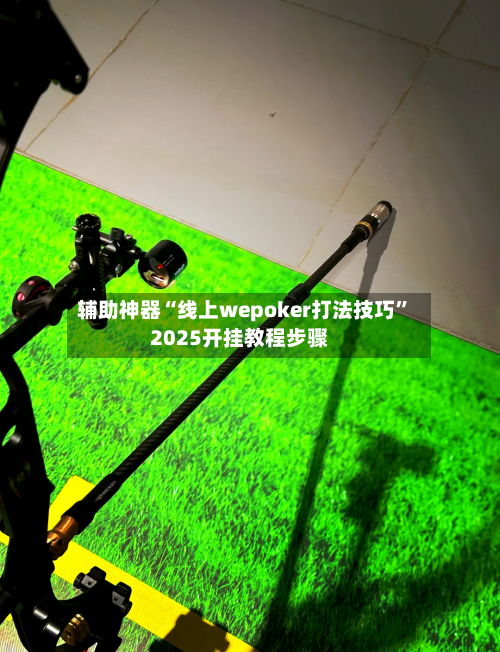 辅助神器“线上wepoker打法技巧”2025开挂教程步骤-第2张图片