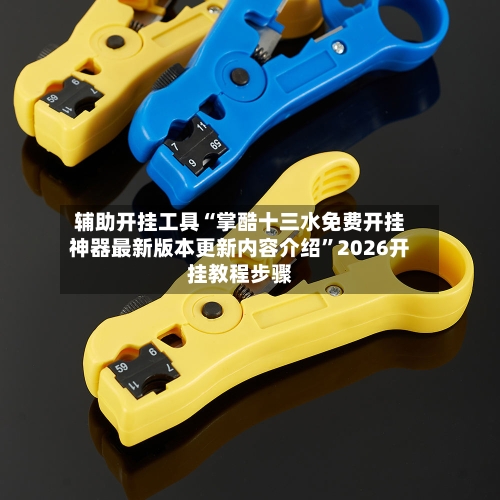 辅助开挂工具“掌酷十三水免费开挂神器最新版本更新内容介绍”2026开挂教程步骤