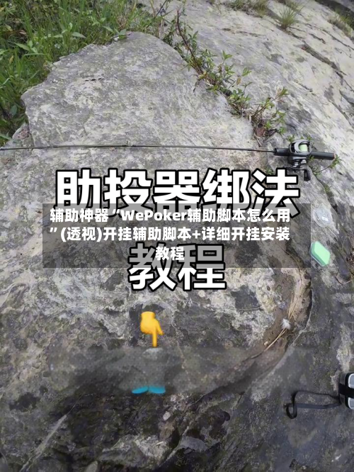 辅助神器“WePoker辅助脚本怎么用”(透视)开挂辅助脚本+详细开挂安装教程-第3张图片