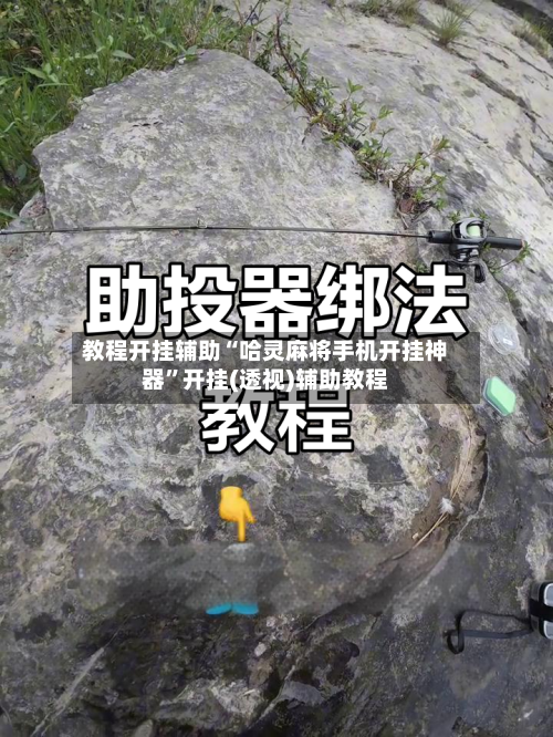 教程开挂辅助“哈灵麻将手机开挂神器”开挂(透视)辅助教程