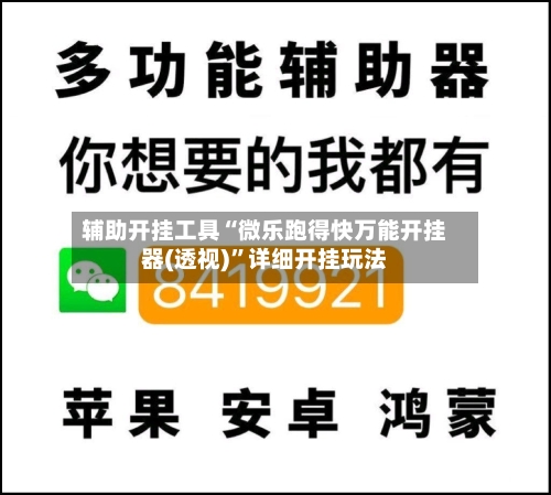 辅助开挂工具“微乐跑得快万能开挂器(透视)”详细开挂玩法-第3张图片