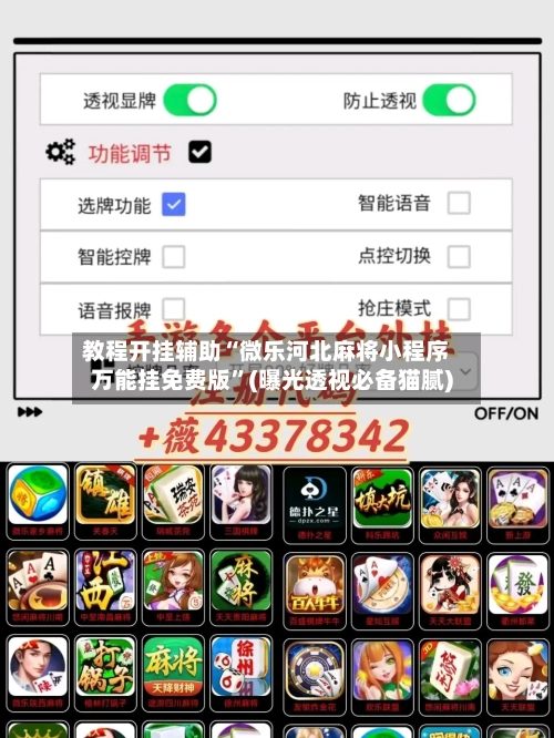 教程开挂辅助“微乐河北麻将小程序万能挂免费版”(曝光透视必备猫腻)