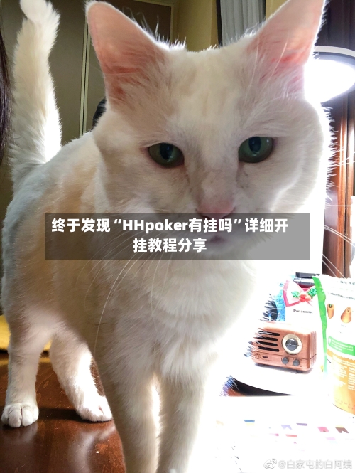 终于发现“HHpoker有挂吗”详细开挂教程分享