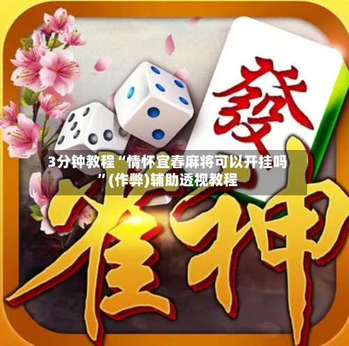 3分钟教程“情怀宜春麻将可以开挂吗”(作弊)辅助透视教程-第2张图片