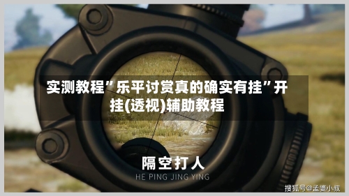 实测教程”乐平讨赏真的确实有挂”开挂(透视)辅助教程-第3张图片