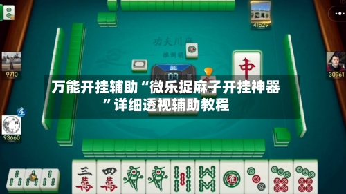 万能开挂辅助“微乐捉麻子开挂神器”详细透视辅助教程-第3张图片