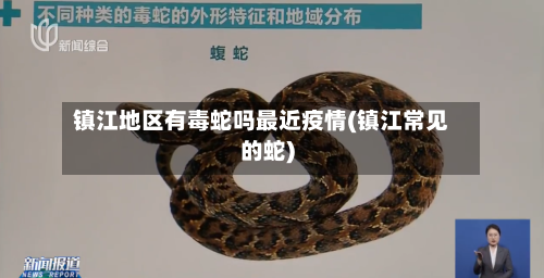 镇江地区有毒蛇吗最近疫情(镇江常见的蛇)-第2张图片