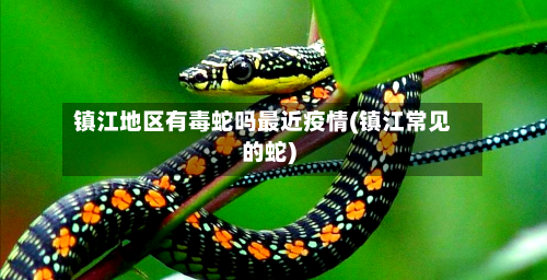镇江地区有毒蛇吗最近疫情(镇江常见的蛇)