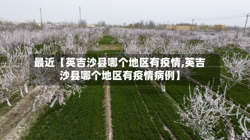 最近【英吉沙县哪个地区有疫情,英吉沙县哪个地区有疫情病例】-第3张图片