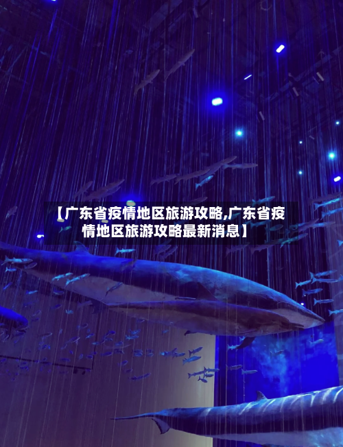 【广东省疫情地区旅游攻略,广东省疫情地区旅游攻略最新消息】-第3张图片