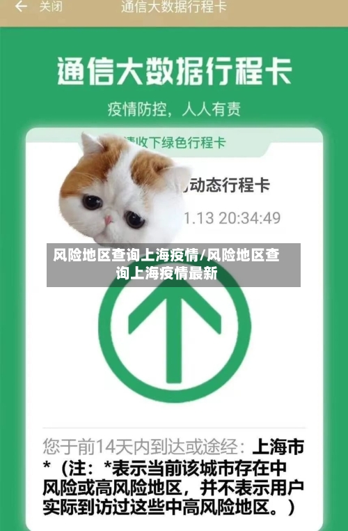 风险地区查询上海疫情/风险地区查询上海疫情最新