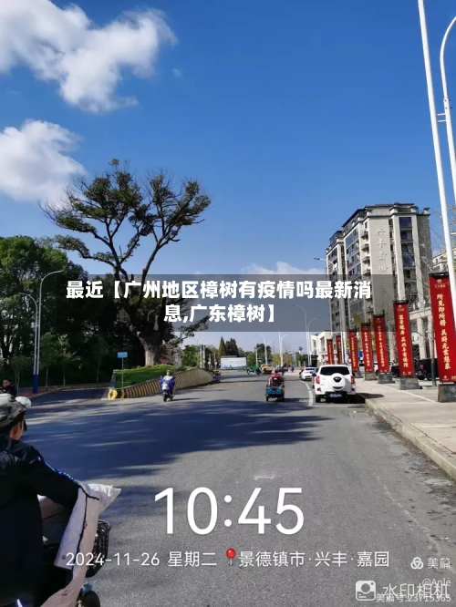最近【广州地区樟树有疫情吗最新消息,广东樟树】
