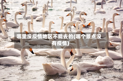 哪里没疫情地区不能去的(哪个景点没有疫情)-第1张图片