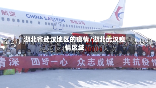 湖北省武汉地区的疫情/湖北武汉疫情区域-第3张图片